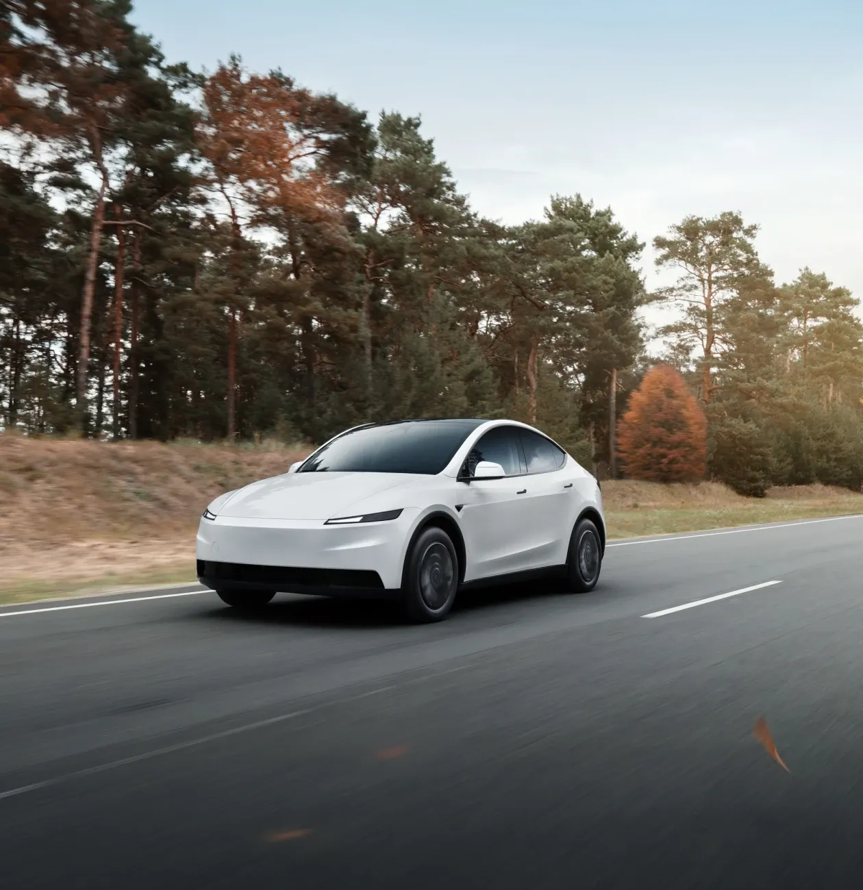 Obrázek značky Tesla