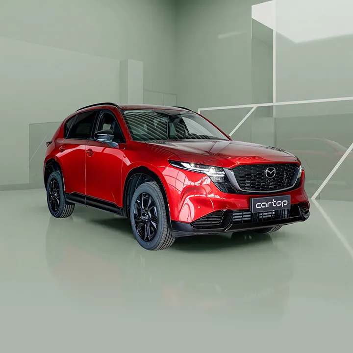 Vyšší střední třída