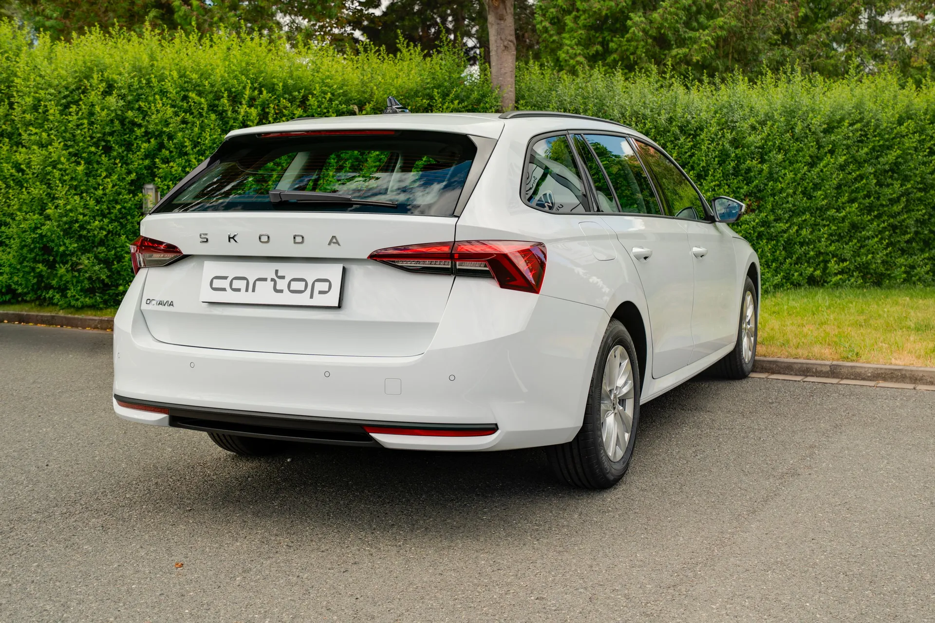 Škoda Octavia Top Selection - fotografie 2