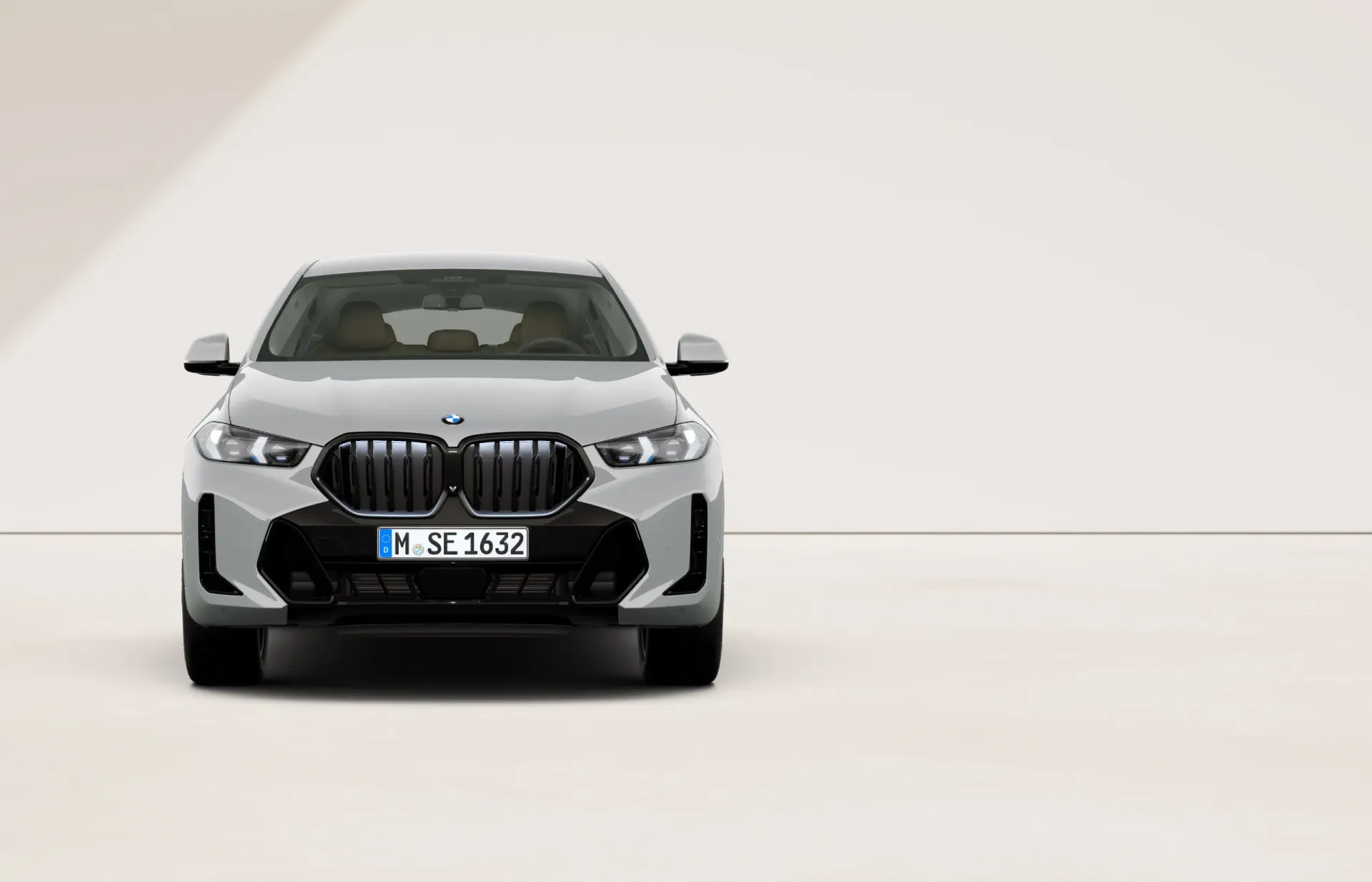 BMW X6 M sportovní paket Pro - fotografie 2