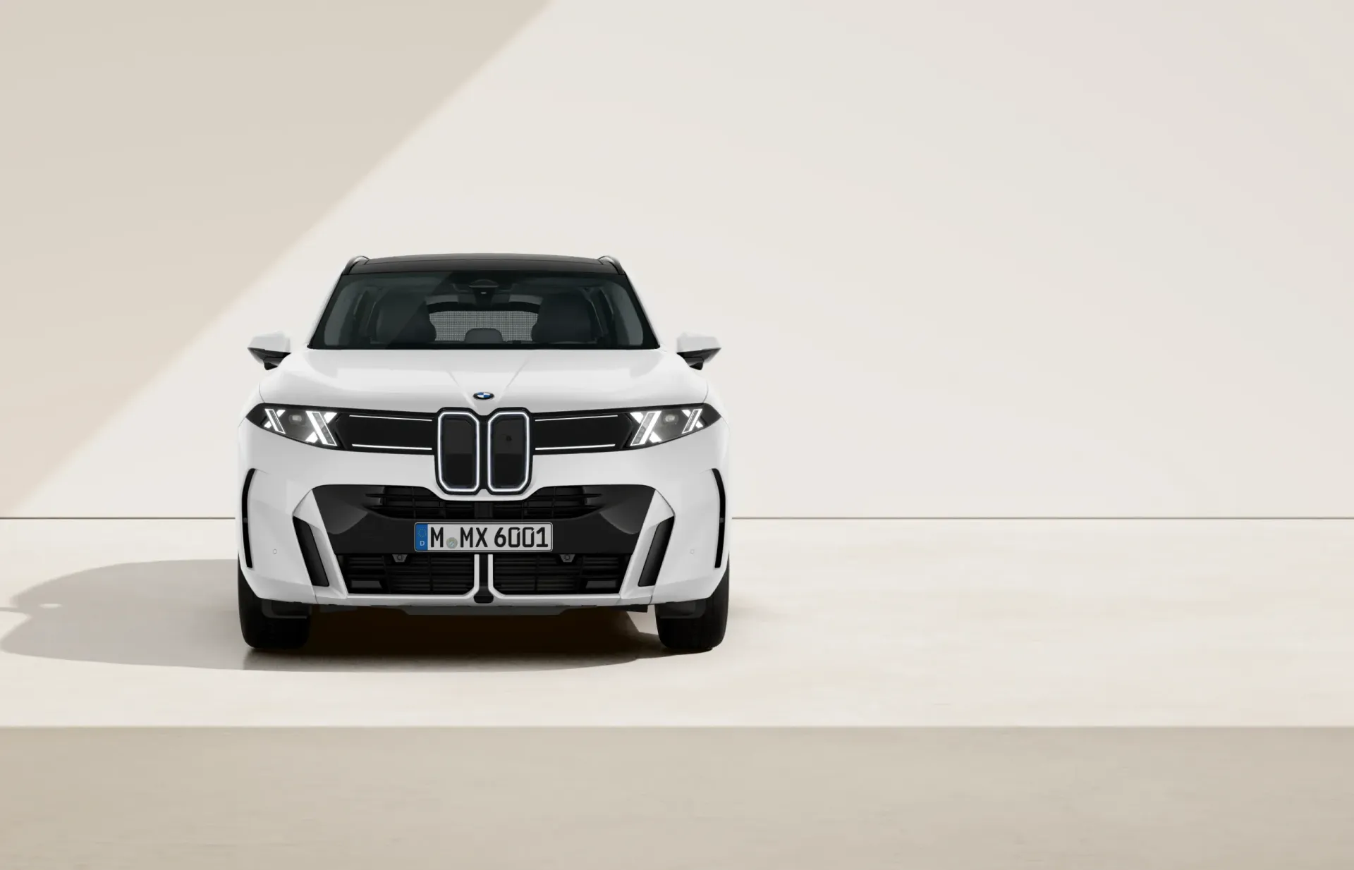 BMW X5 M Sportovní paket - fotografie 2