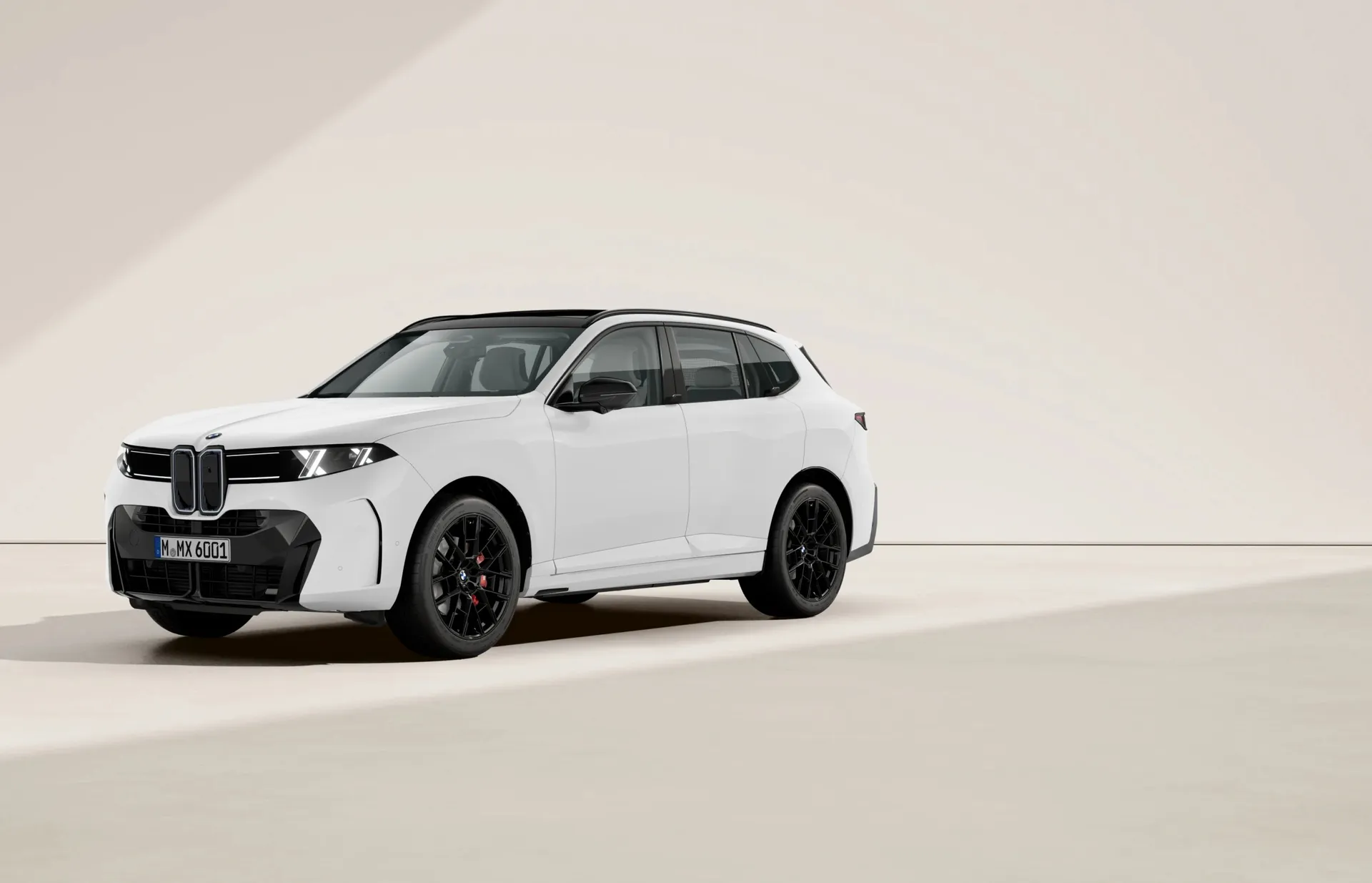 BMW X5 - doporučený vůz