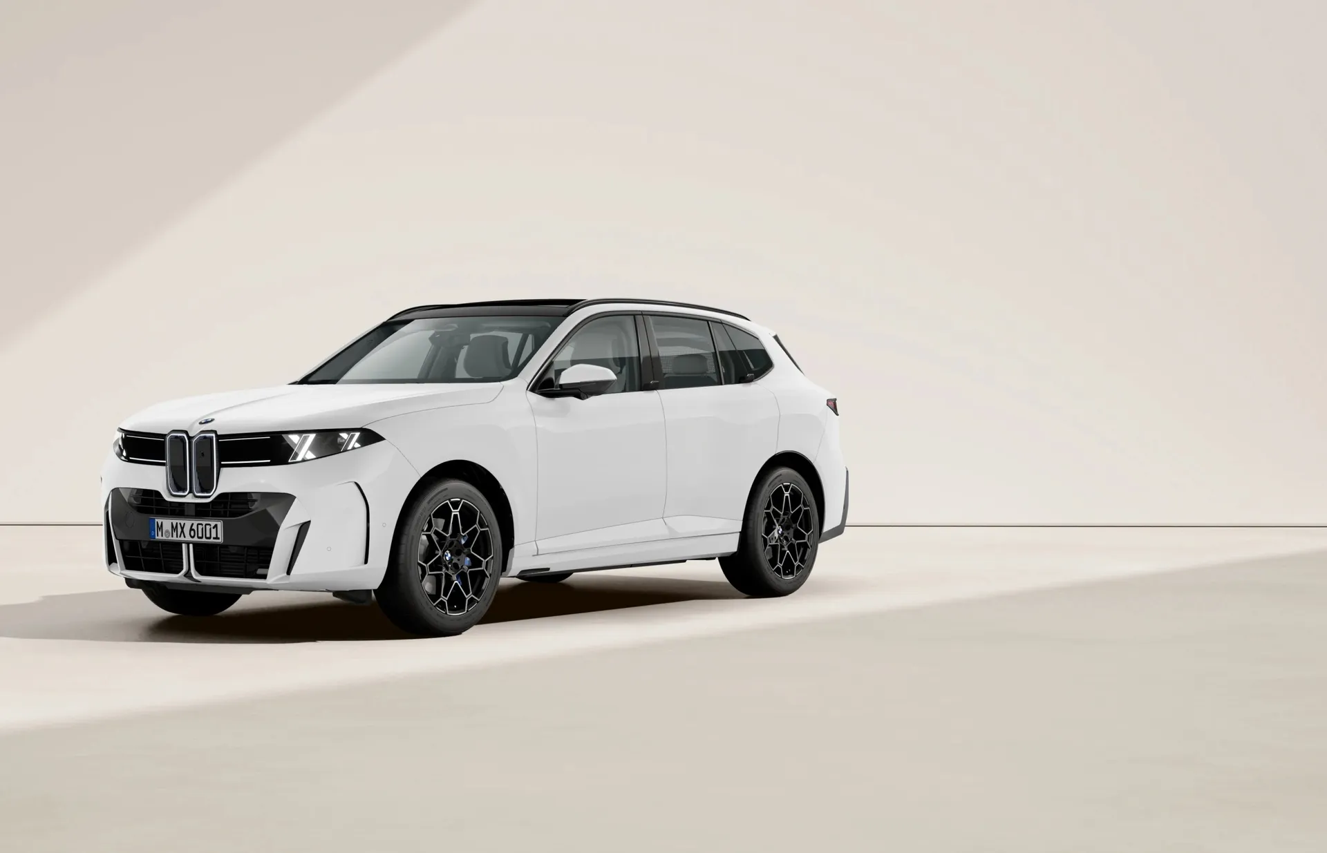 BMW X5 - doporučený vůz