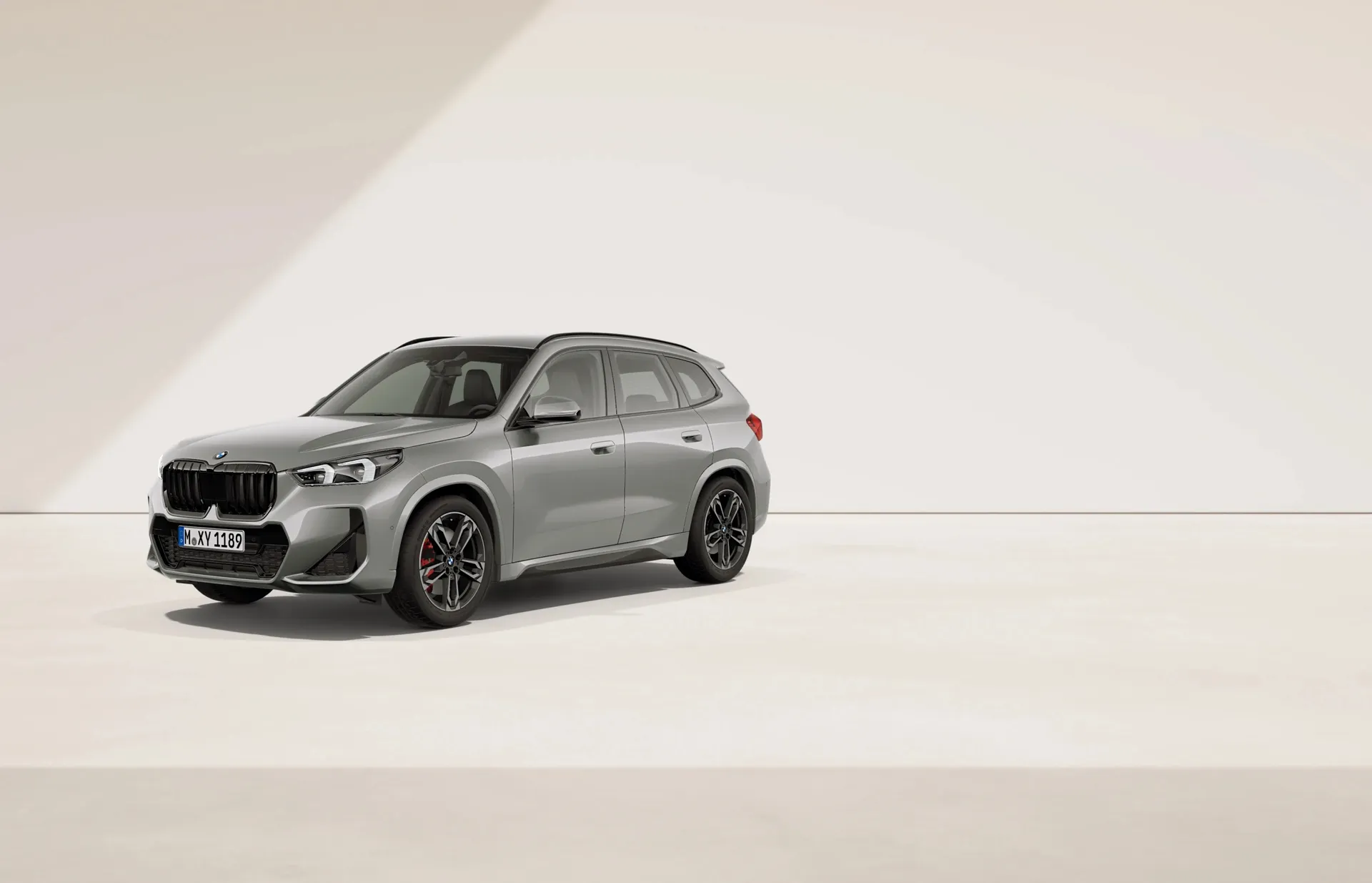 BMW X1 - doporučený vůz