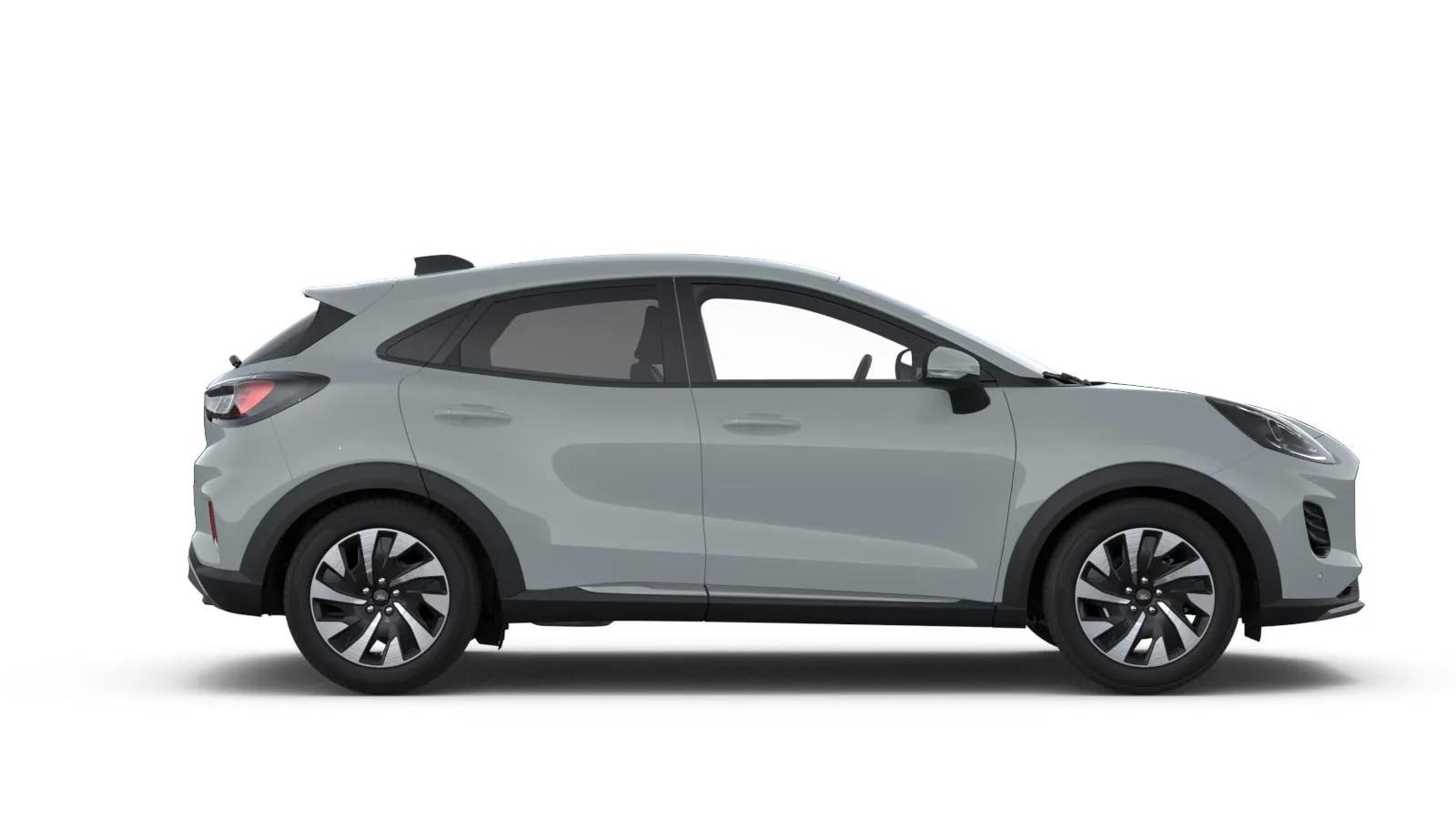 Puma, Titanium, šedá Cactus, side