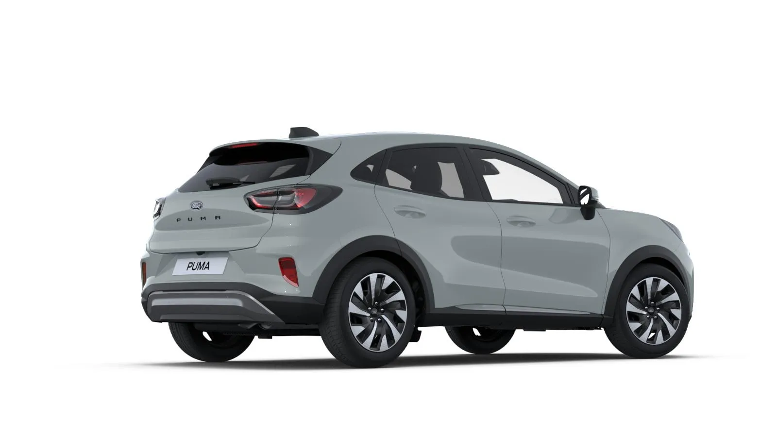 Puma, Titanium, šedá Cactus, rear
