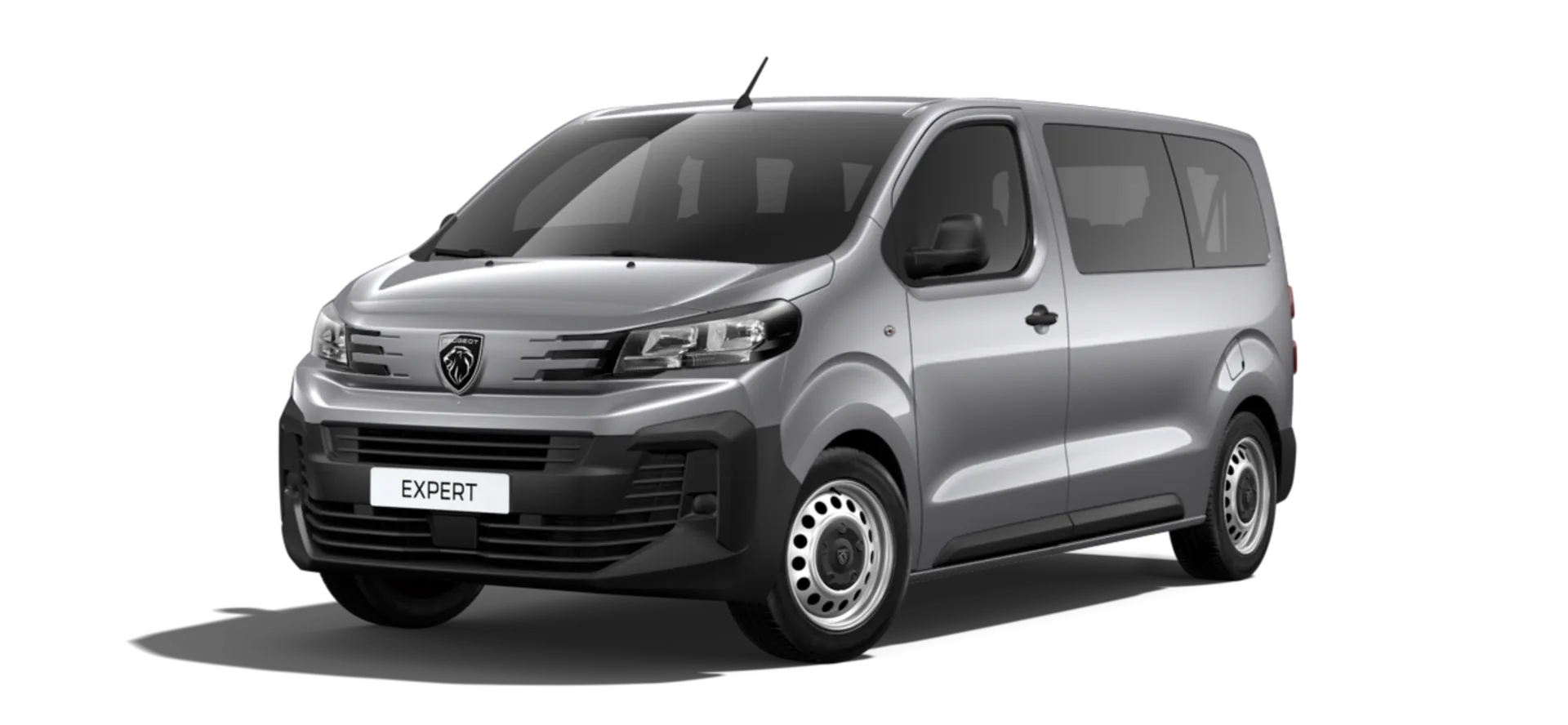 Expert Combi Standard (L2), Combi, Šedá ARTENSE, front
