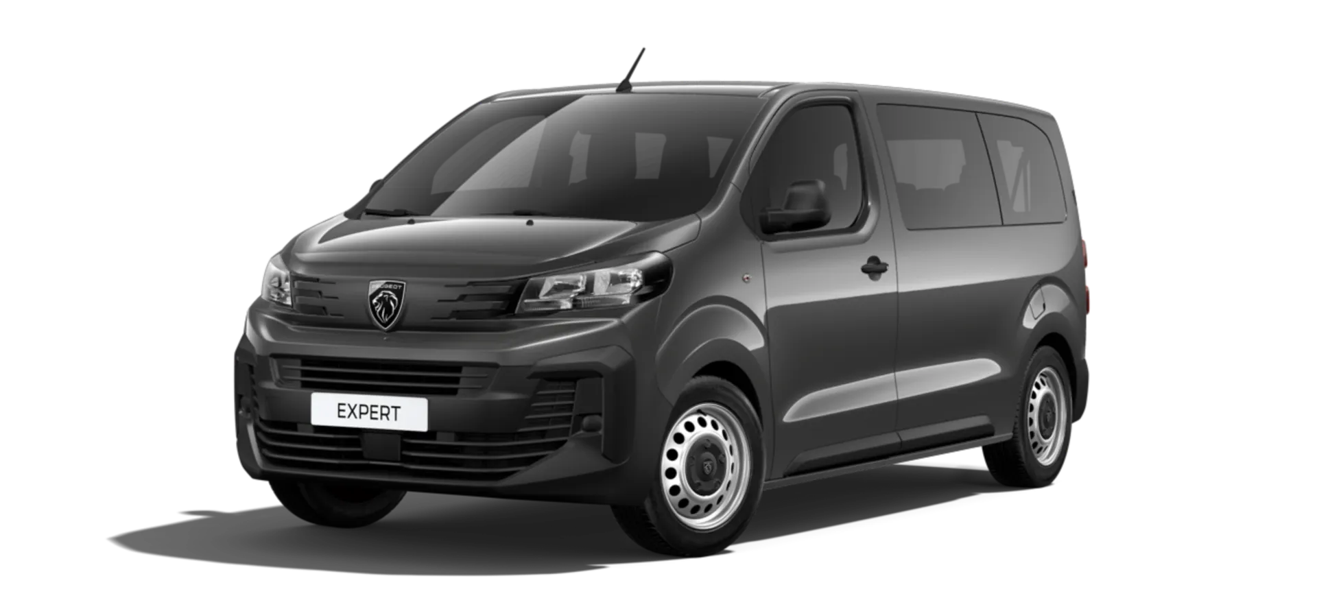 Expert Combi Standard (L2), Combi, Šedá TITANE, front