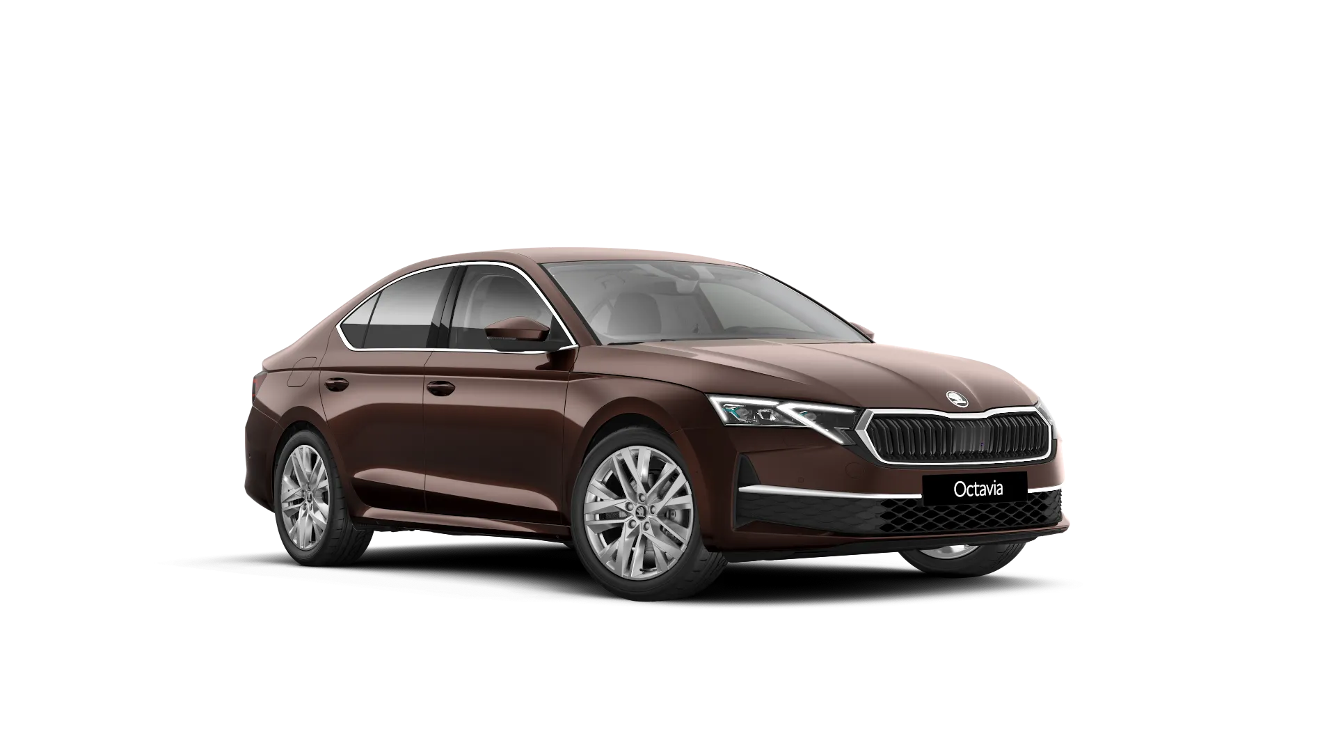 Octavia, Exclusive Selection, Hnědá Marrone, front