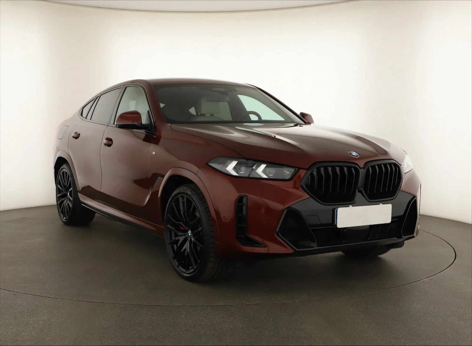 BMW X6 - doporučený vůz