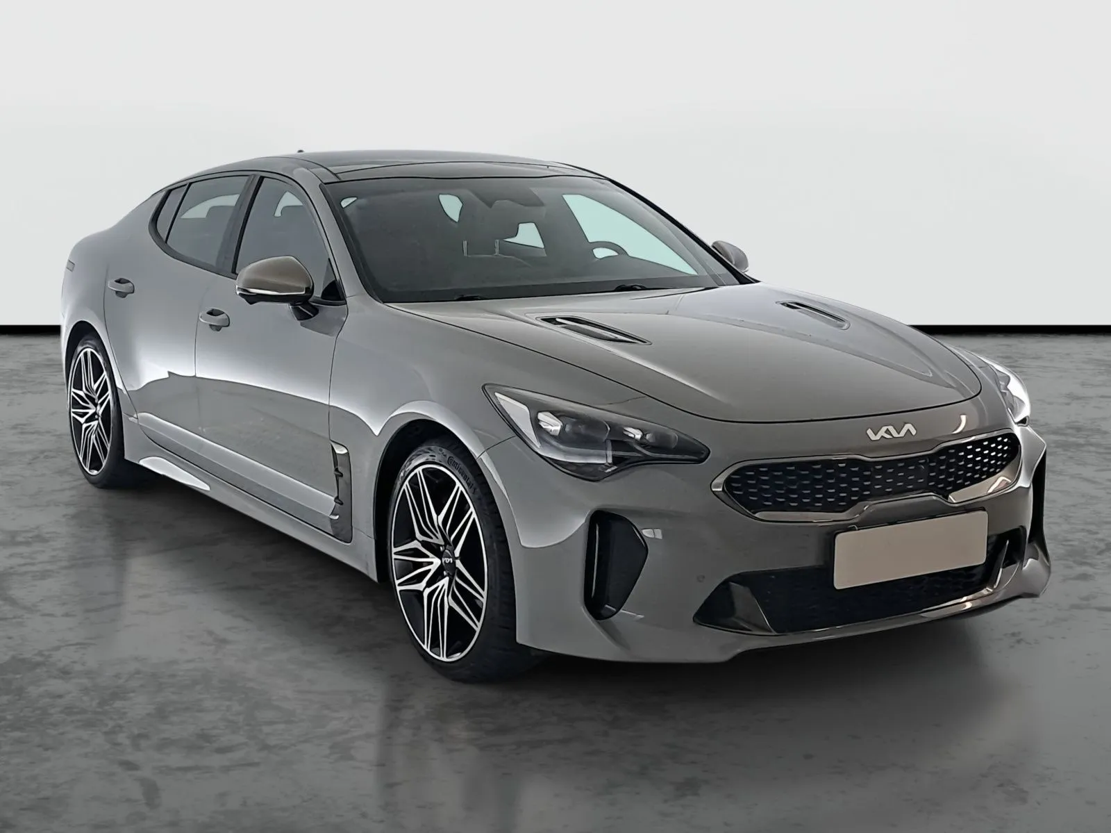 Stinger