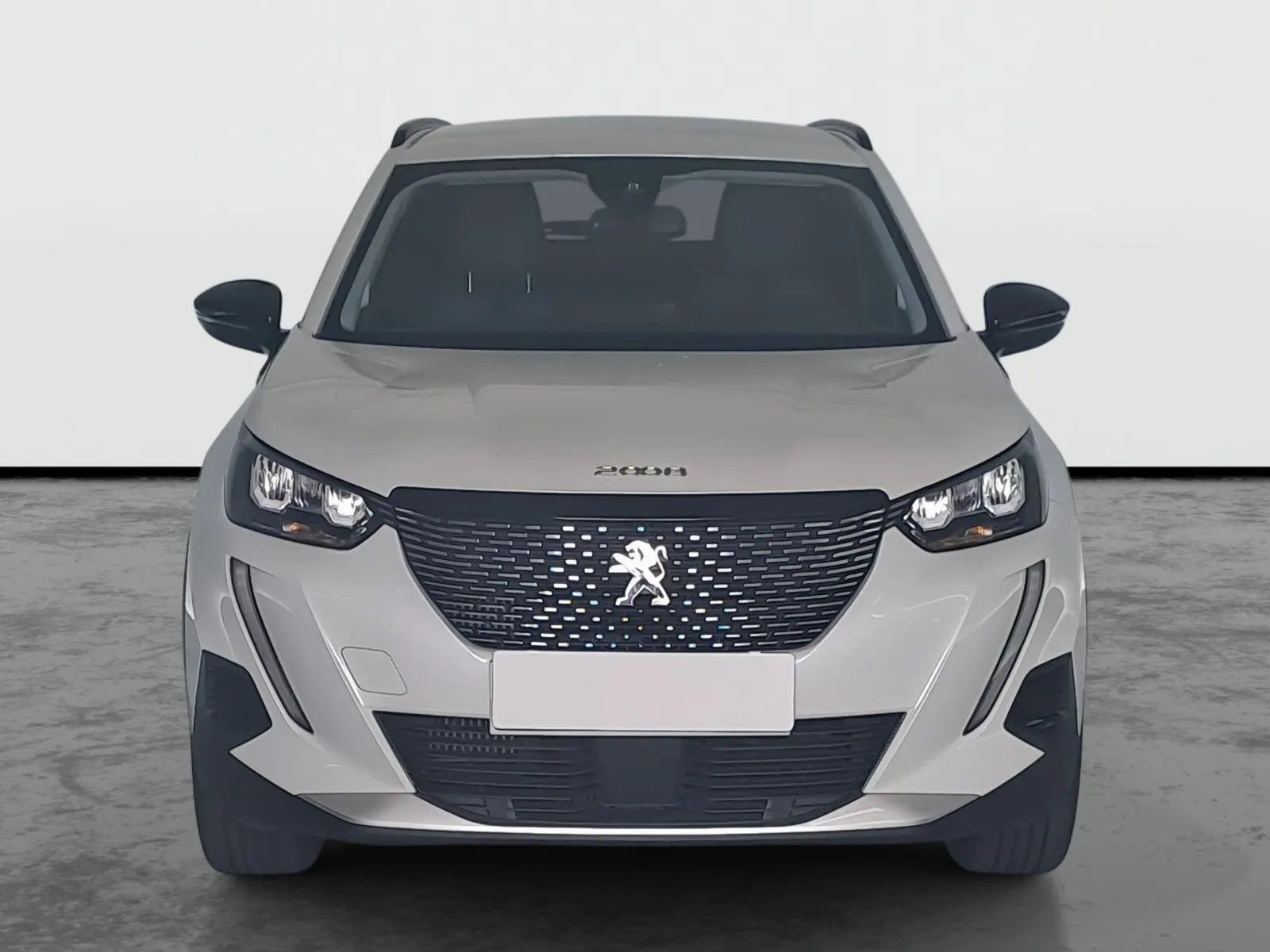 Peugeot 2008 - fotografie 2