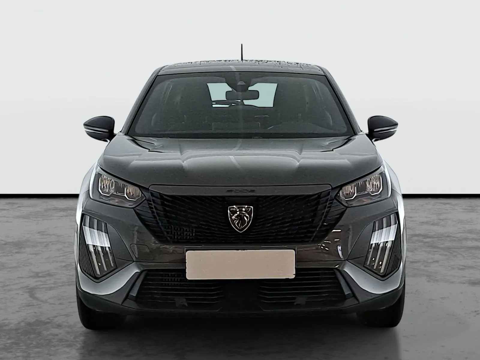 Peugeot 2008 - fotografie 2