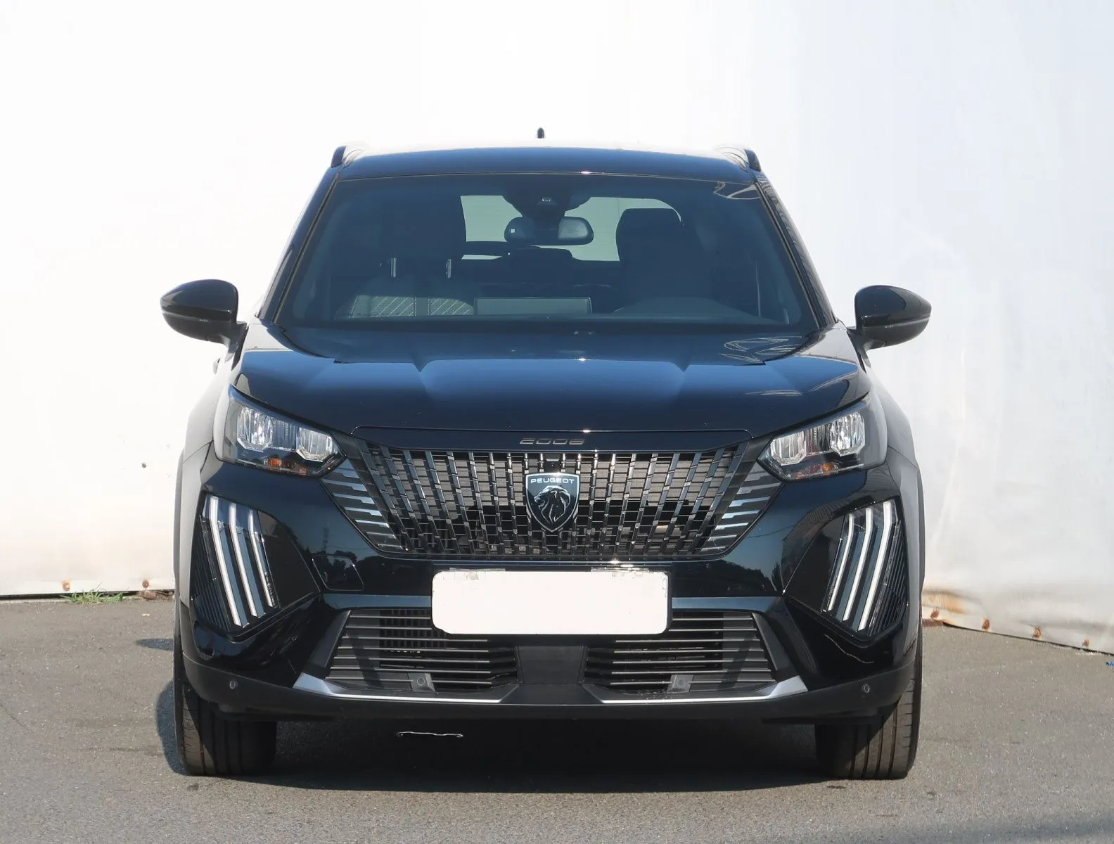 Peugeot 2008 - fotografie 2