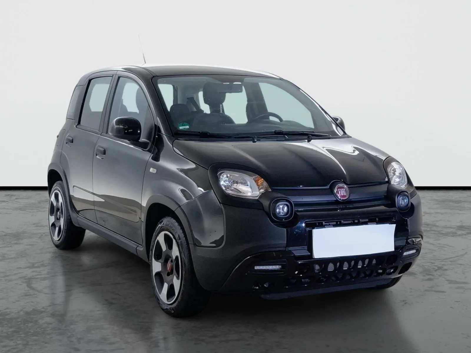 Panda