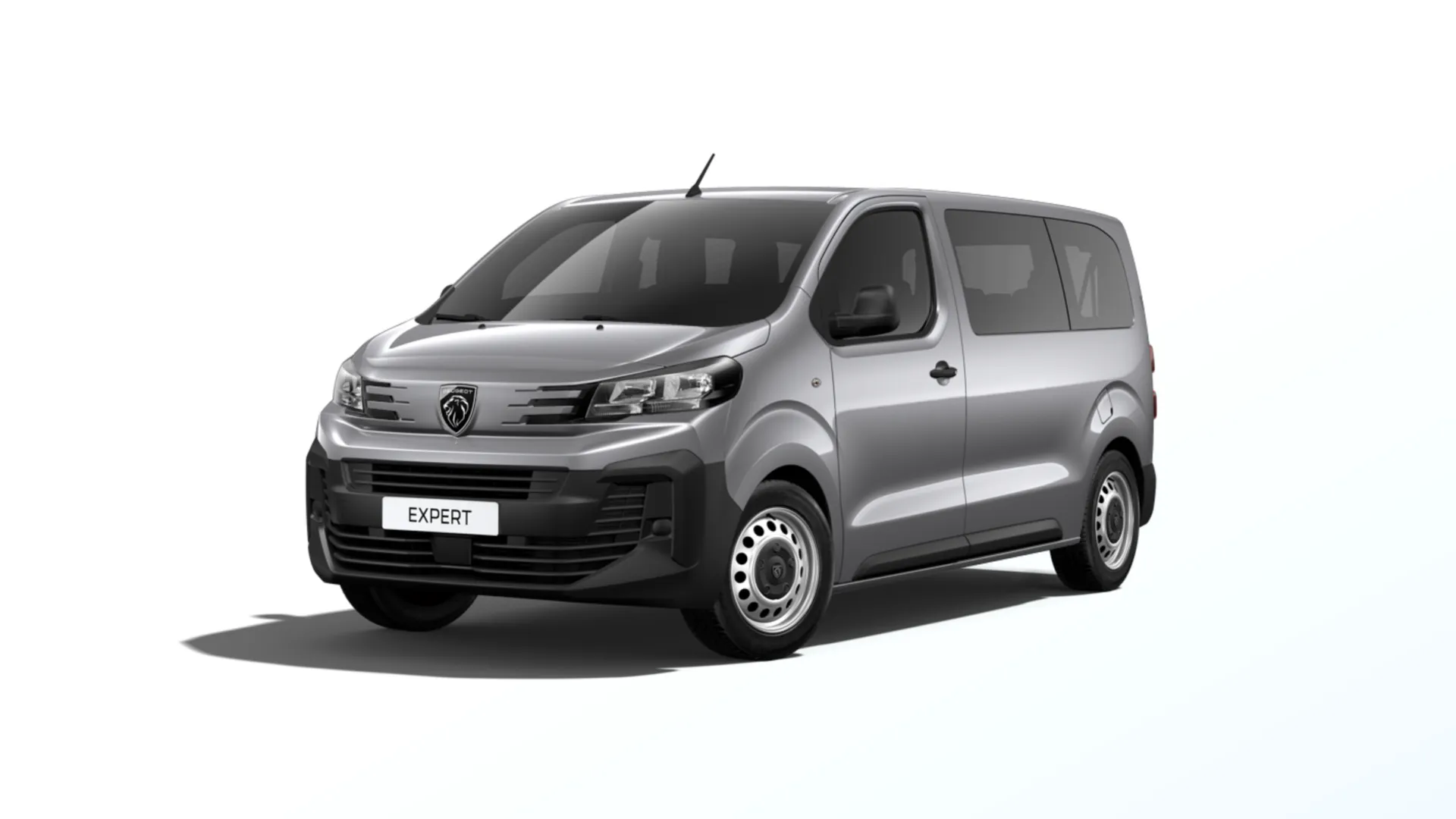 Expert Combi Standard (L2), Combi, Šedá ARTENSE, front