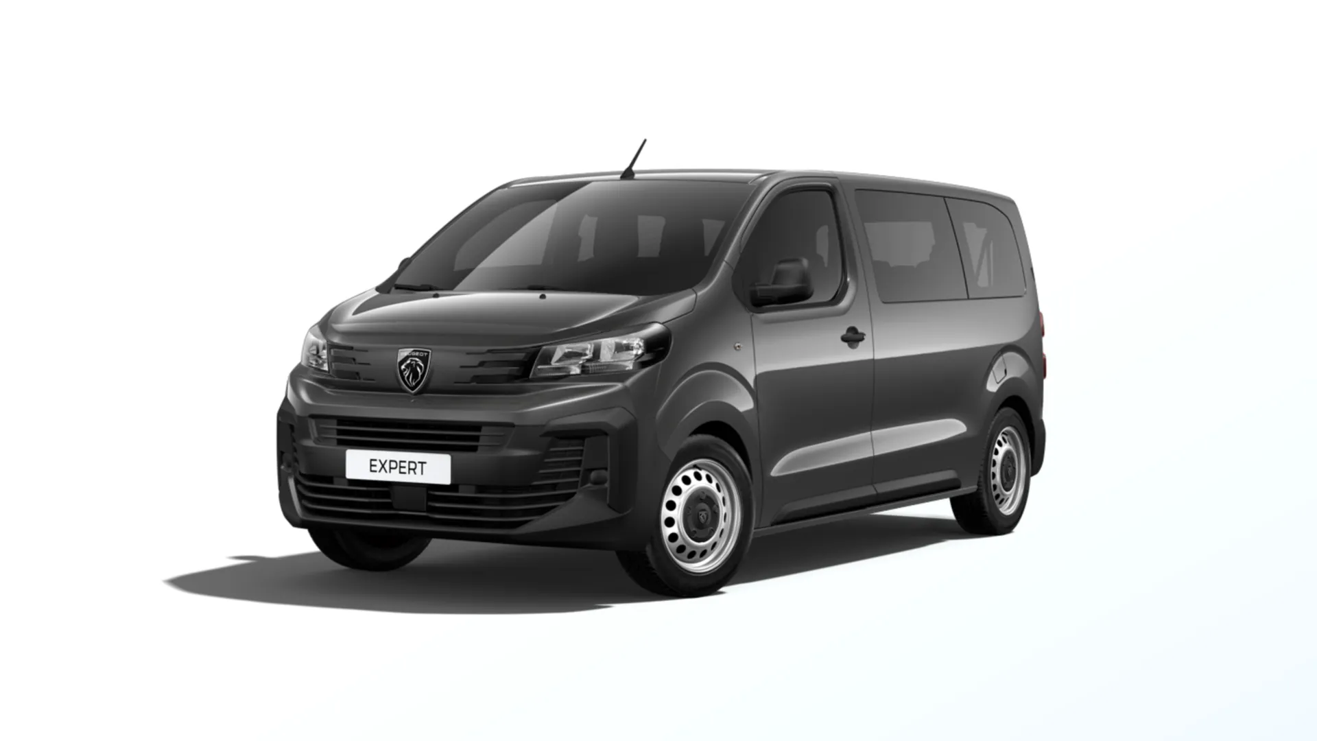 Expert Combi Standard (L2), Combi, Šedá TITANE, front