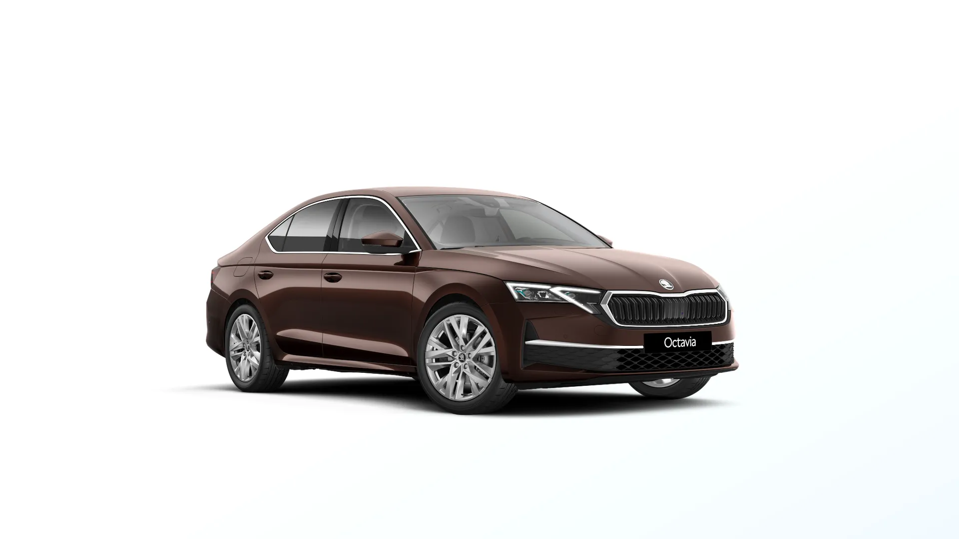 Octavia, Exclusive Selection, Hnědá Marrone, front
