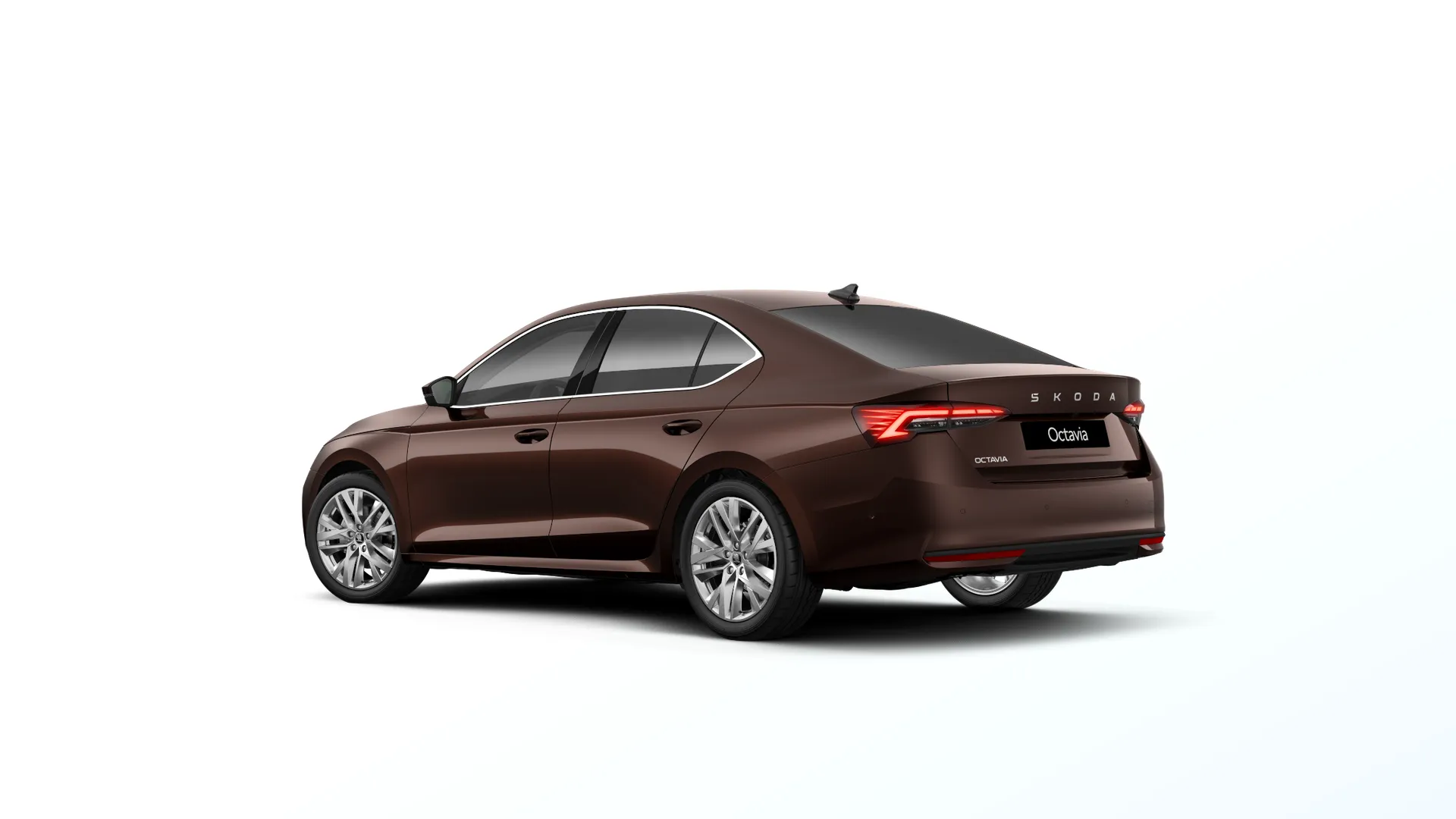 Octavia, Exclusive Selection, Hnědá Marrone, rear