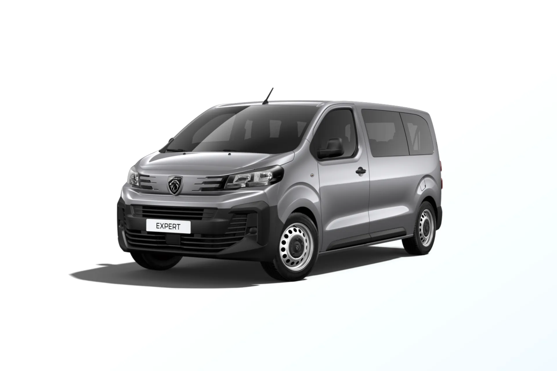 Expert Combi Standard (L2), Combi, Šedá ARTENSE, front