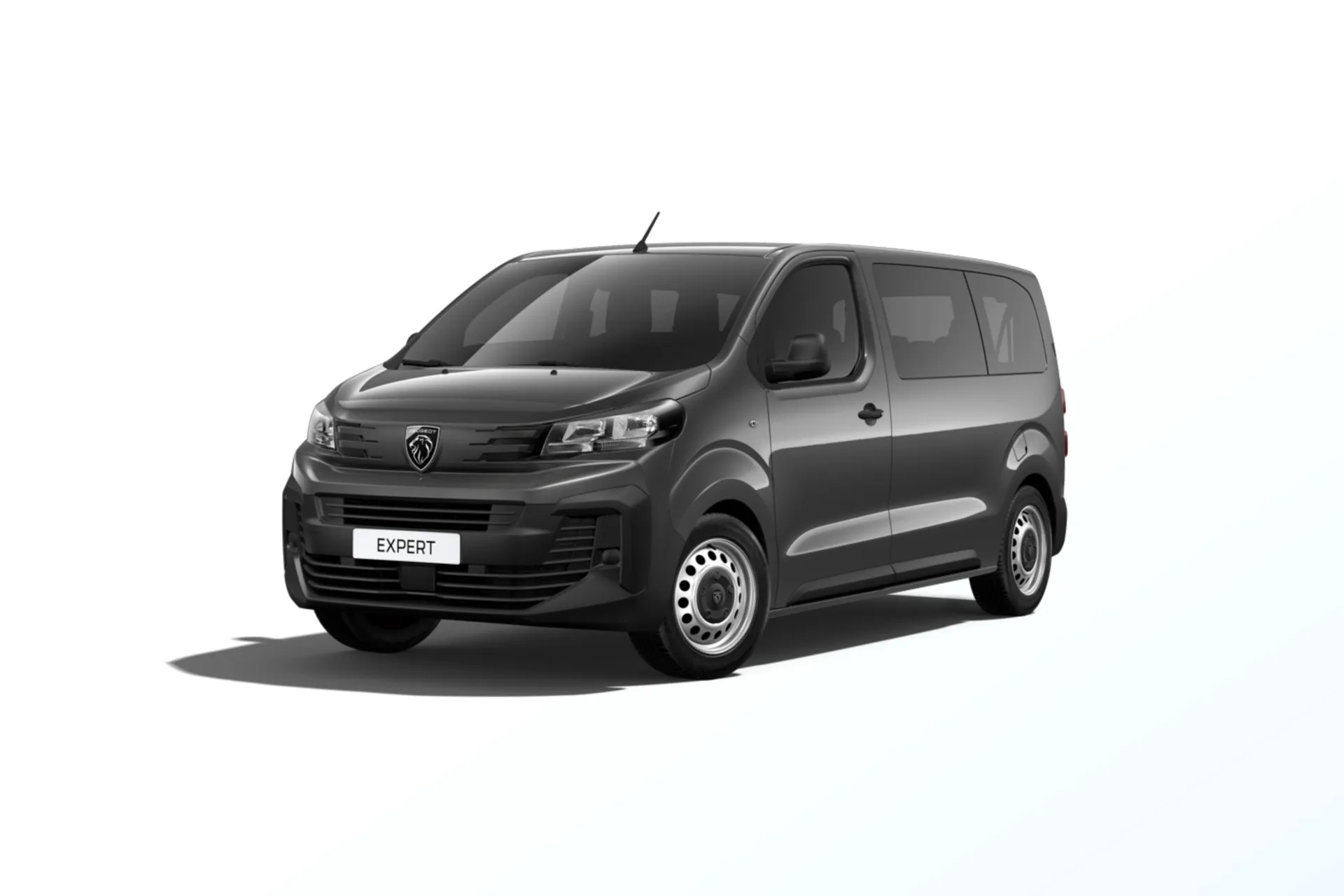 Expert Combi Standard (L2), Combi, Šedá TITANE, front