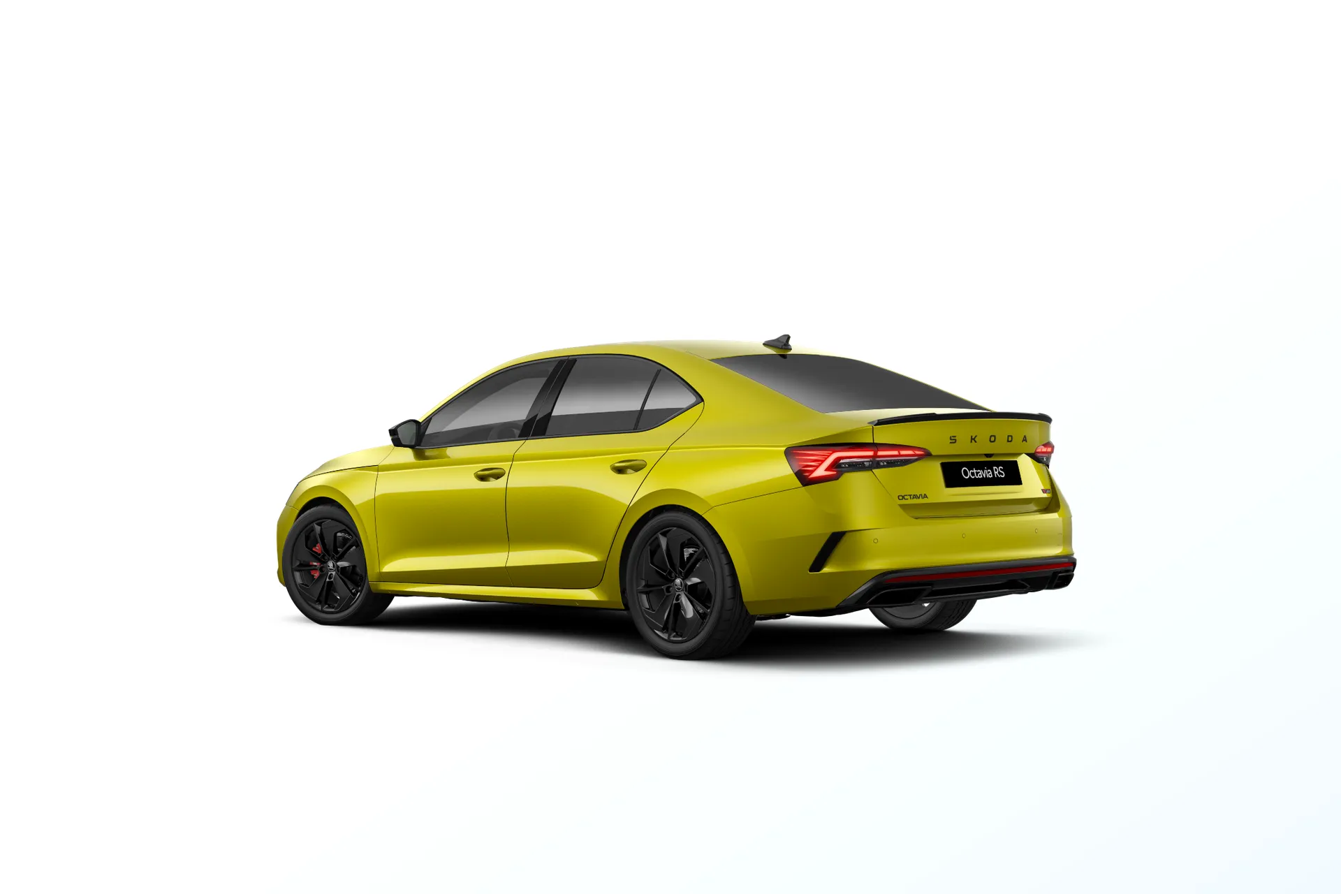 Octavia, RS, Dragon skin, rear