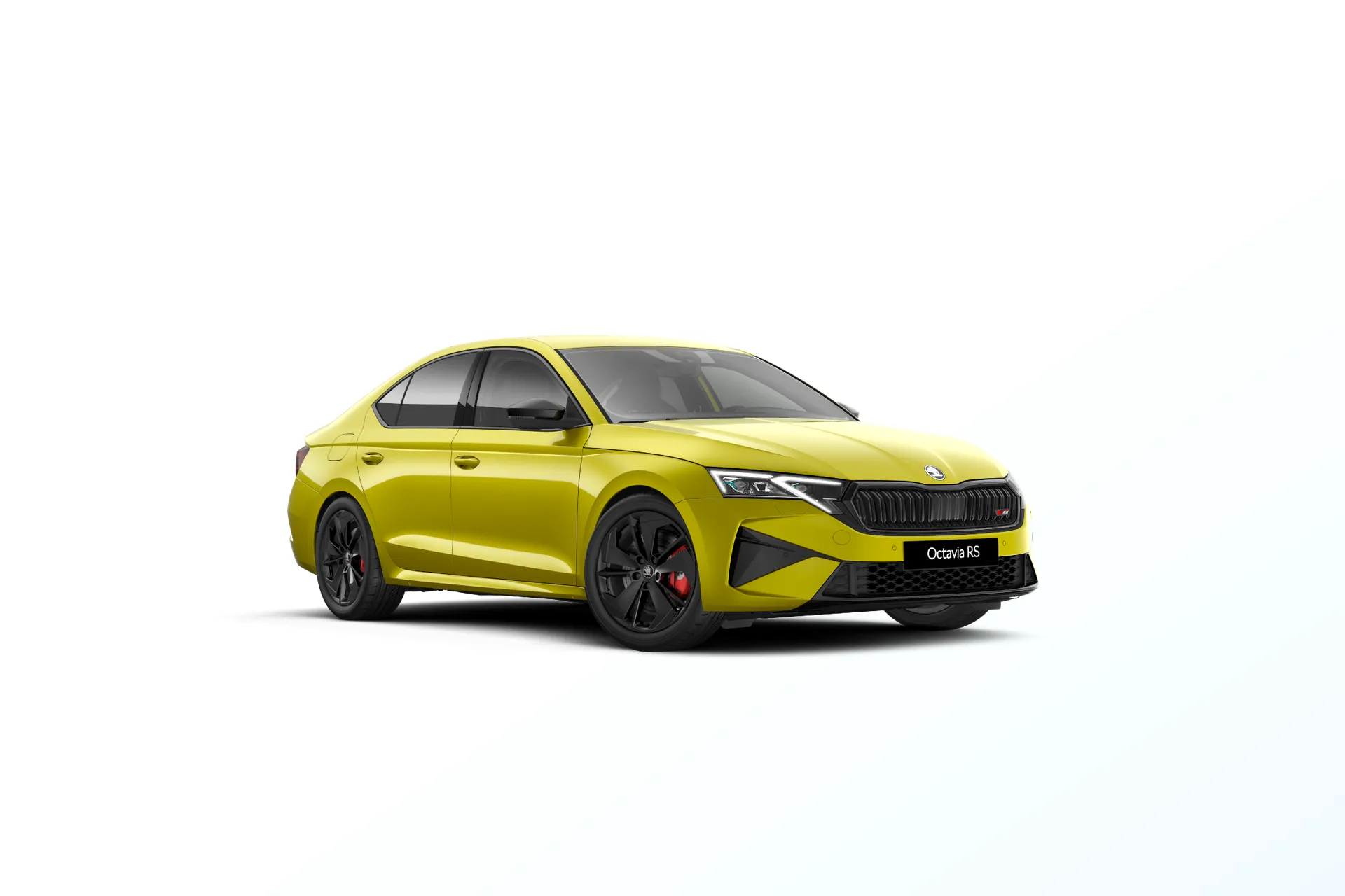 Octavia, RS, Dragon skin, front