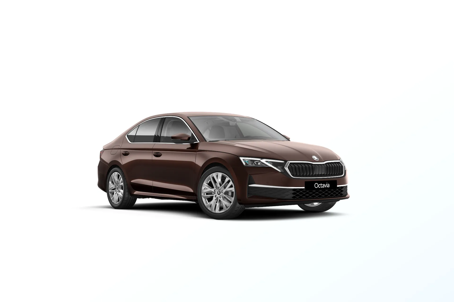Octavia, Exclusive Selection, Hnědá Marrone, front