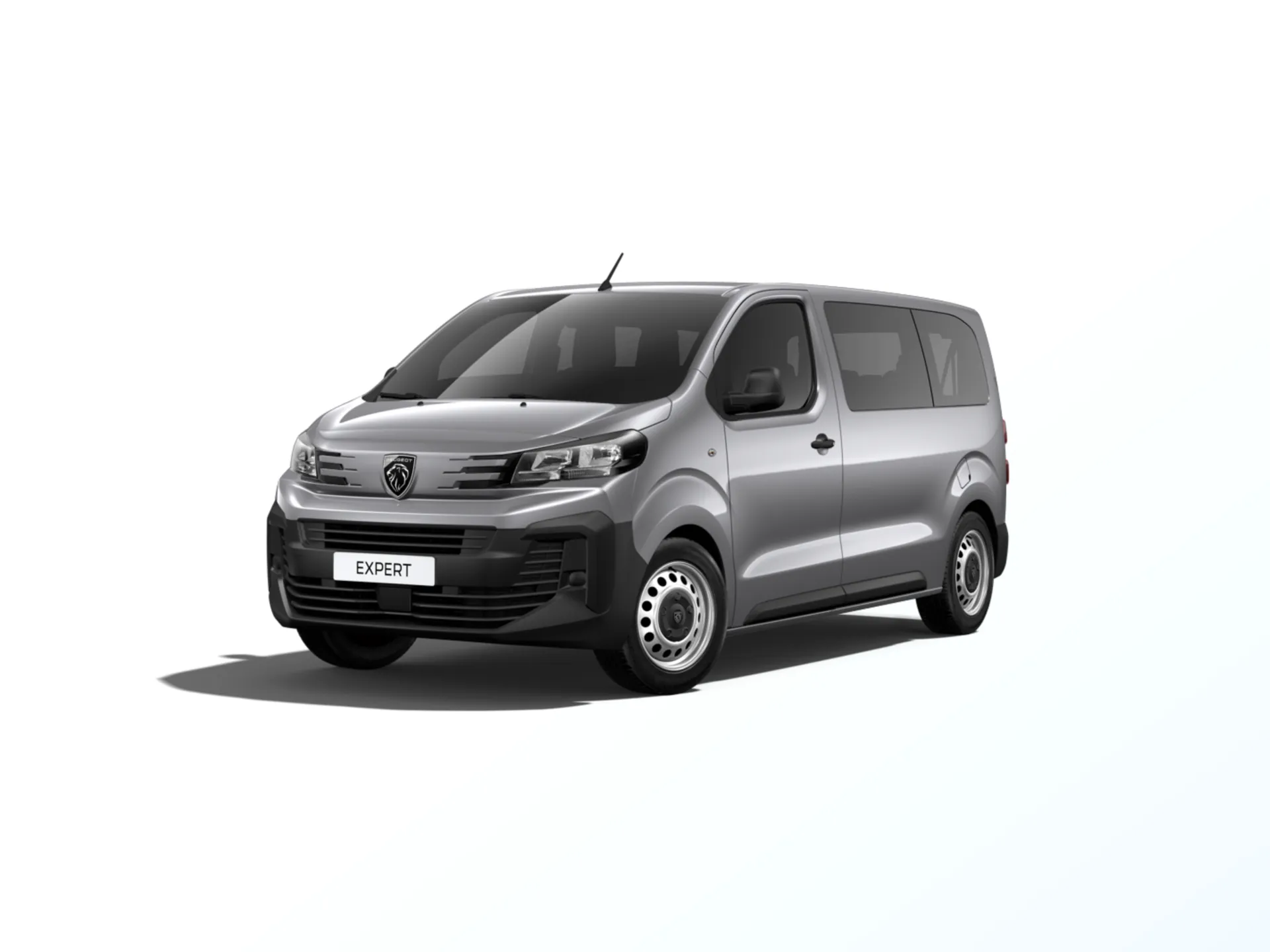 Expert Combi Standard (L2), Combi, Šedá ARTENSE, front