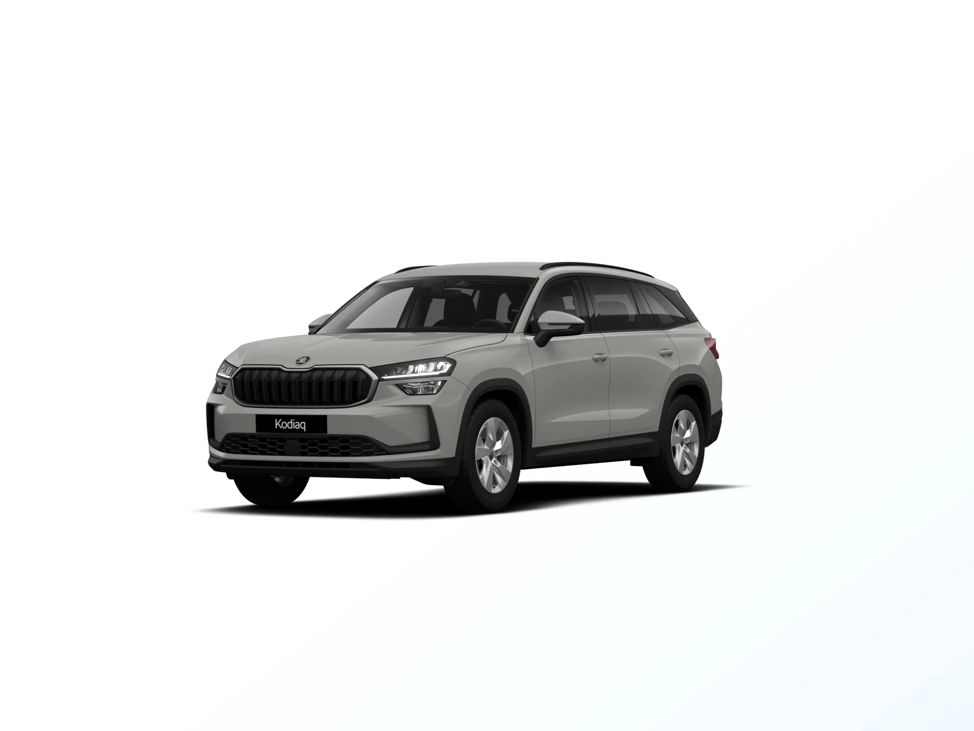 Kodiaq, Selection, Šedá Steel, 01