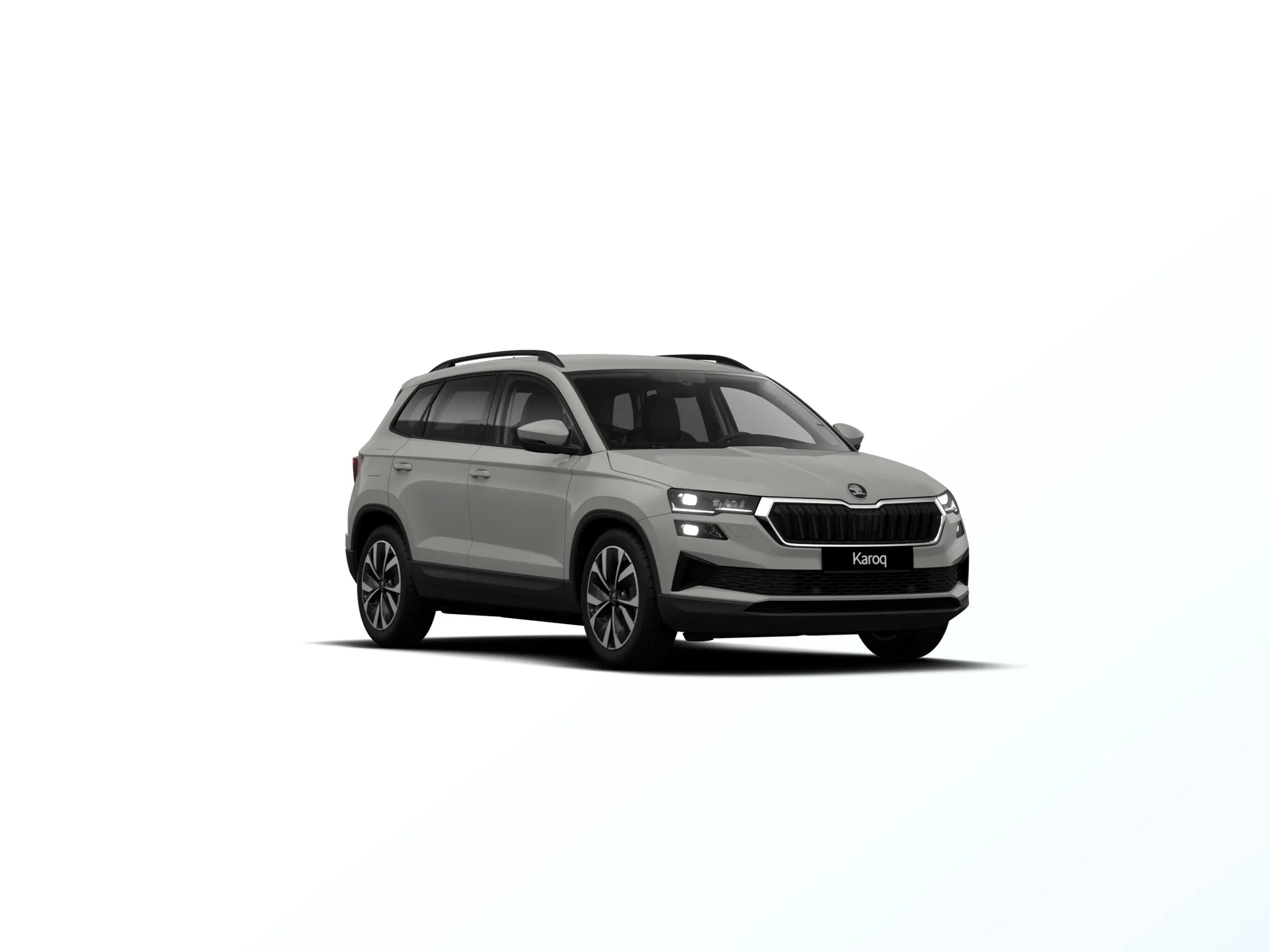 Karoq, Dynamic, Šedá Steel, front